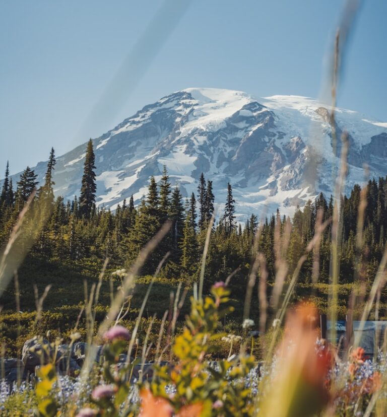 photo-by-ashlynn-murphy