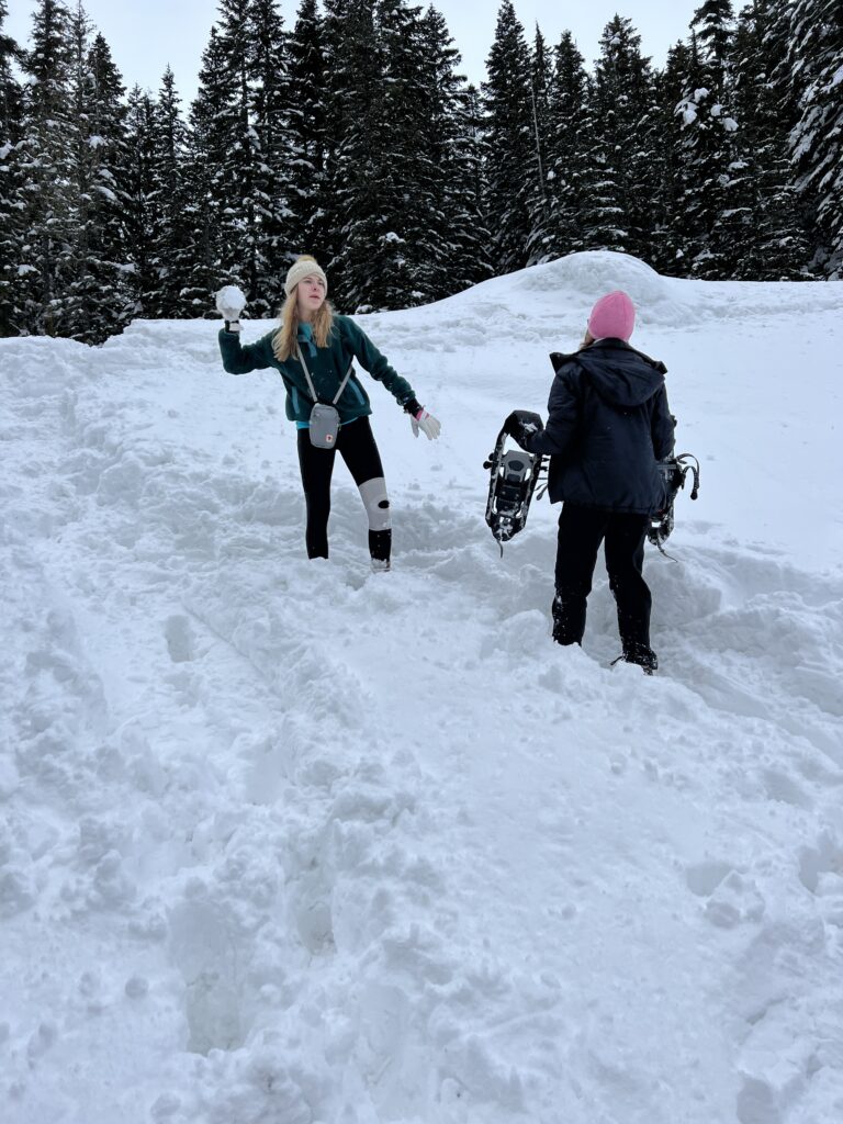 F44C46F0-AB3B-4FDE-BA4A-AFA988EE34E0